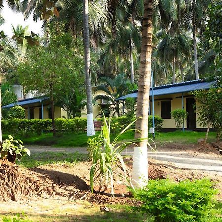 Royal Nature Resort Pollāchi Exterior foto